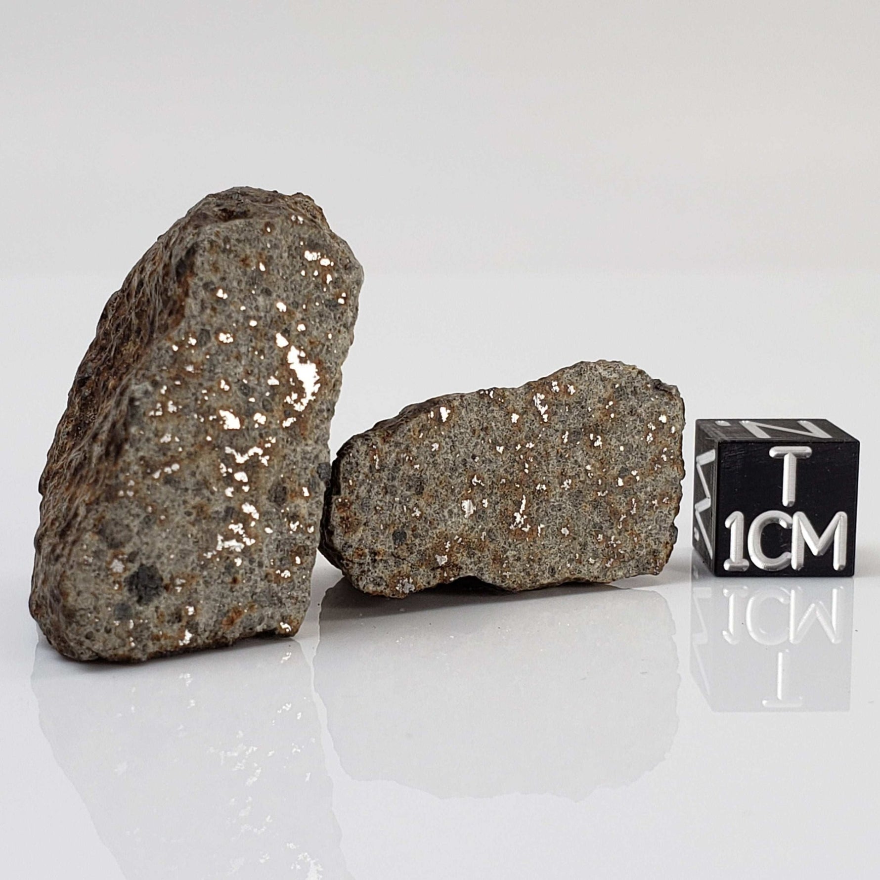   Northwest Africa NWA Meteorite | 32 Grams | Two part Cut | Sahara 