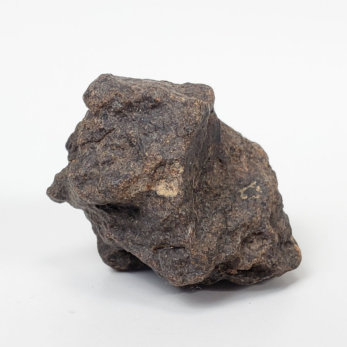Northwest Africa NWA Meteorite | 4 Piece Lot | 18.8 Grams | Individuals | Sahara