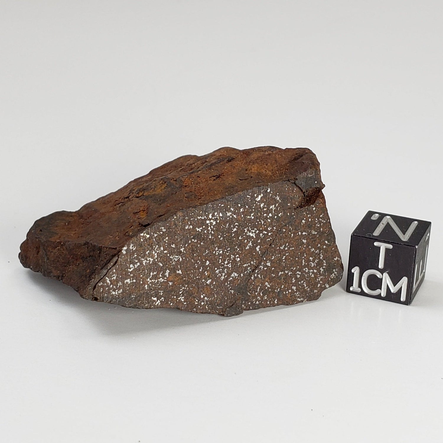 Northwest Africa NWA Meteorite | 45 Grams | End Cut | Sahara