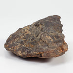 Northwest Africa NWA Meteorite | 52.4 Grams | Individual Fragment | Sahara