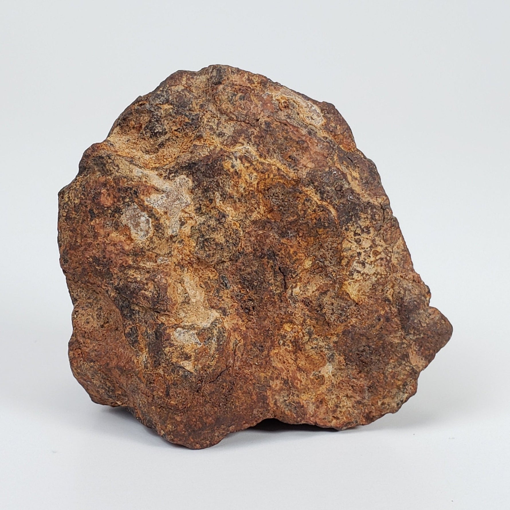 Northwest Africa NWA Meteorite | 52.4 Grams | Individual Fragment | Sahara