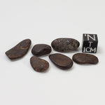   Northwest Africa NWA Meteorite | 6 Piece Lot | 11.7 Grams | Tumbled Individual Meteorites | Sahara 