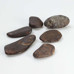   Northwest Africa NWA Meteorite | 6 Piece Lot | 11.7 Grams | Tumbled Individual Meteorites | Sahara 