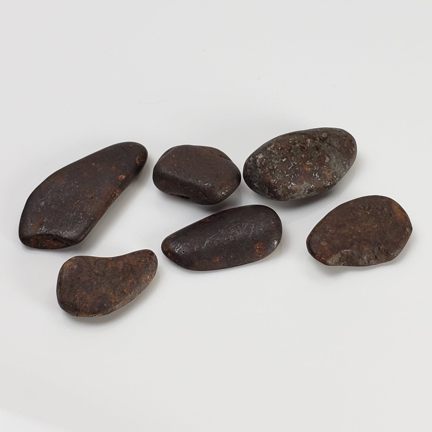   Northwest Africa NWA Meteorite | 6 Piece Lot | 11.7 Grams | Tumbled Individual Meteorites | Sahara 