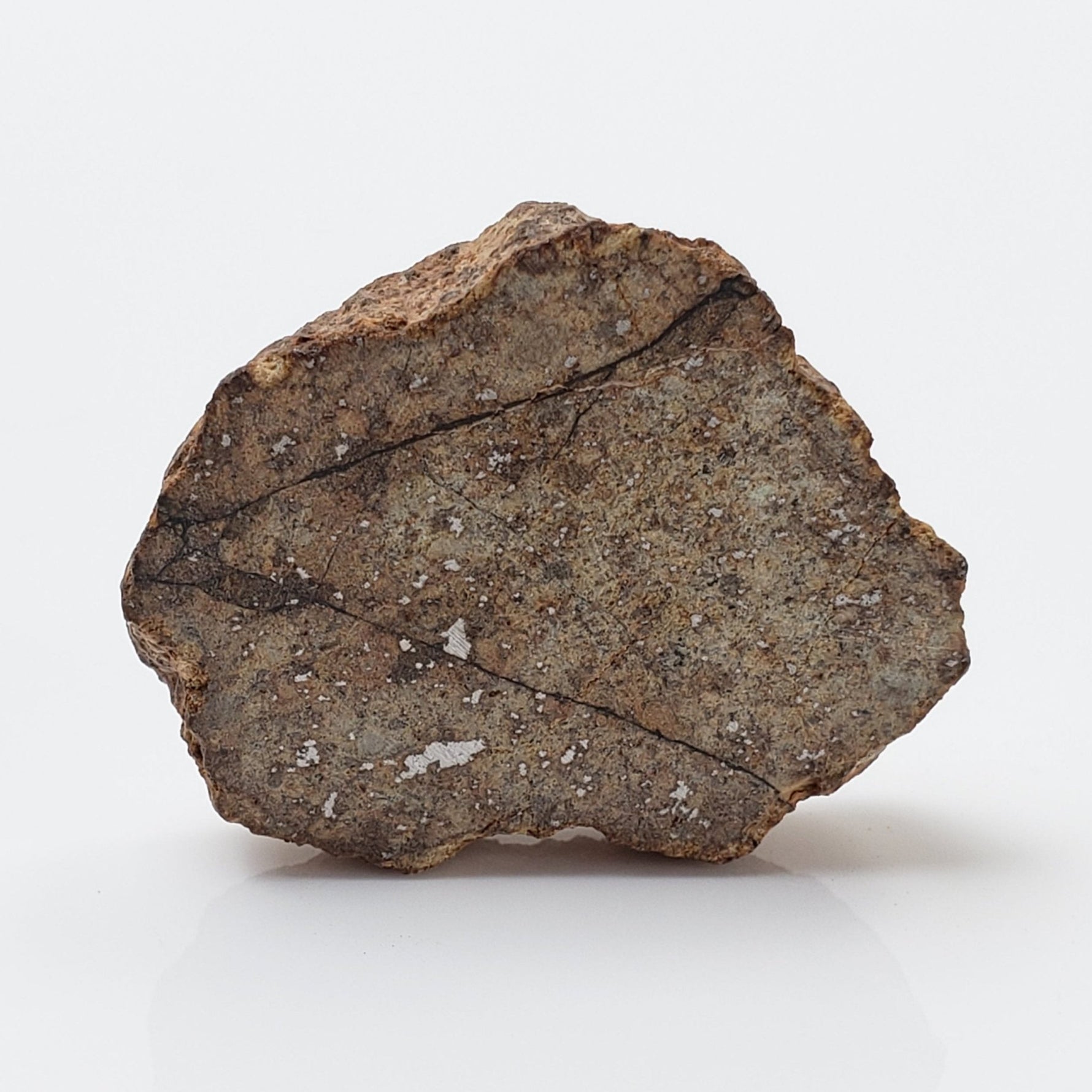   Northwest Africa NWA Meteorite | 6.0 Grams | Slice | Sahara 