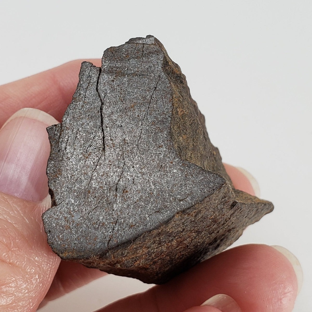   Northwest Africa NWA Meteorite | 77 Grams | Individual Cut Fragment | Sahara 