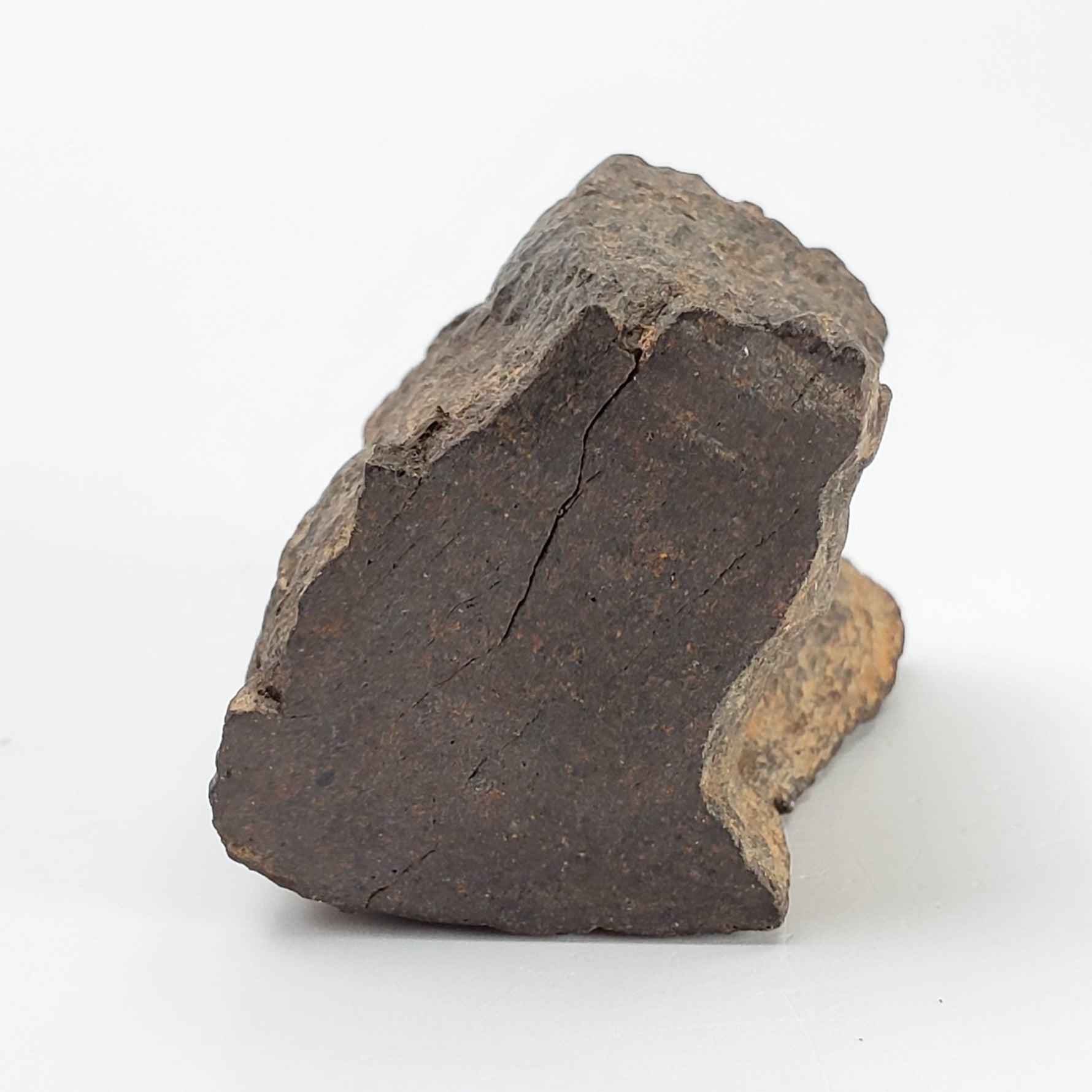   Northwest Africa NWA Meteorite | 77 Grams | Individual Cut Fragment | Sahara 