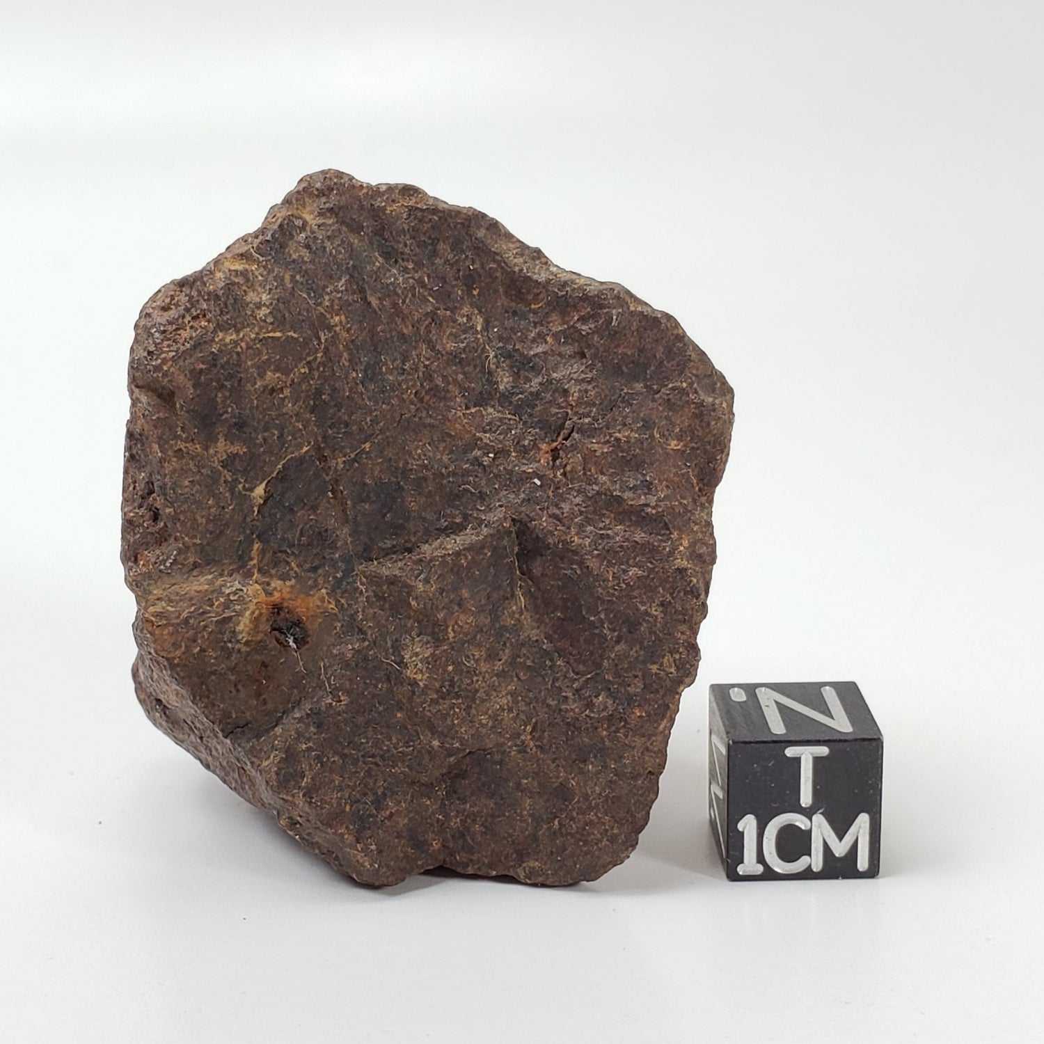   Northwest Africa NWA Meteorite | 87 Grams | Individual Fragment | Sahara 