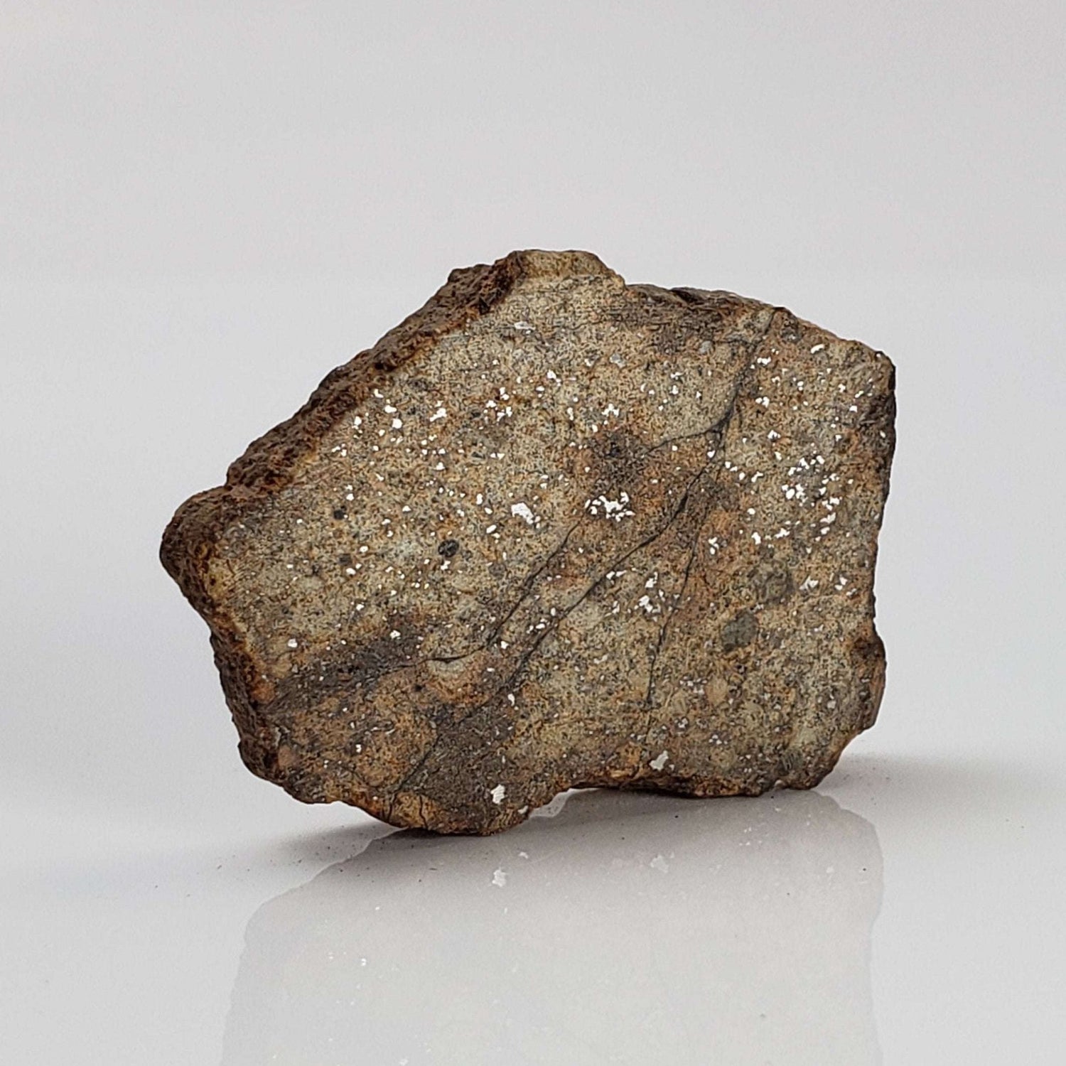   Northwest Africa NWA Meteorite | 9.0 Grams | Slice | Sahara 