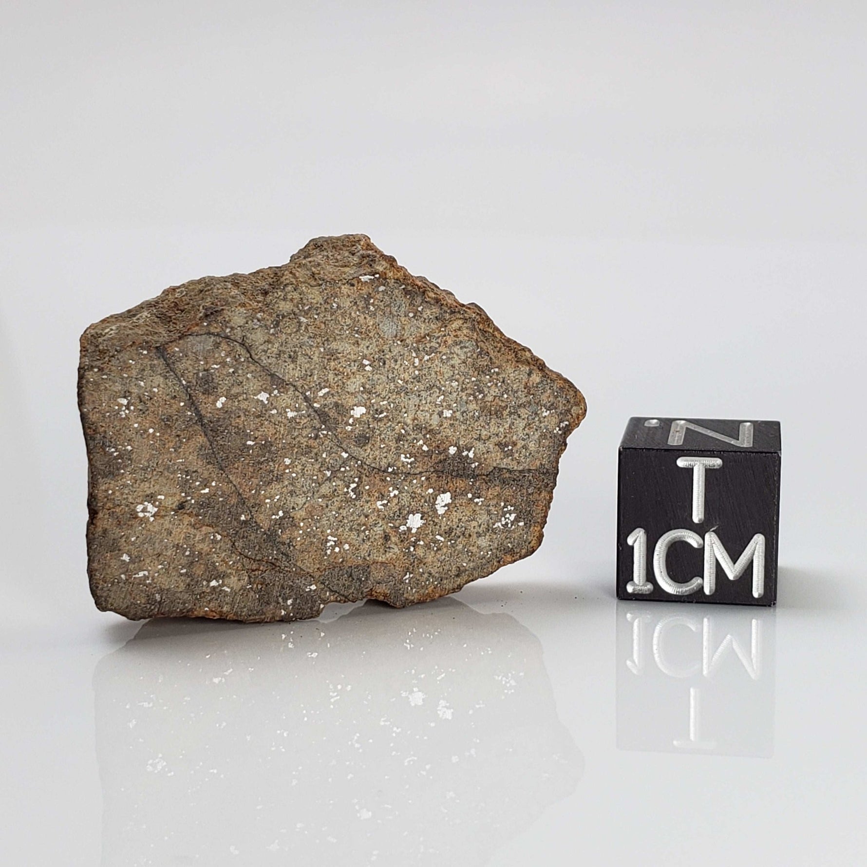   Northwest Africa NWA Meteorite | 9.0 Grams | Slice | Sahara 