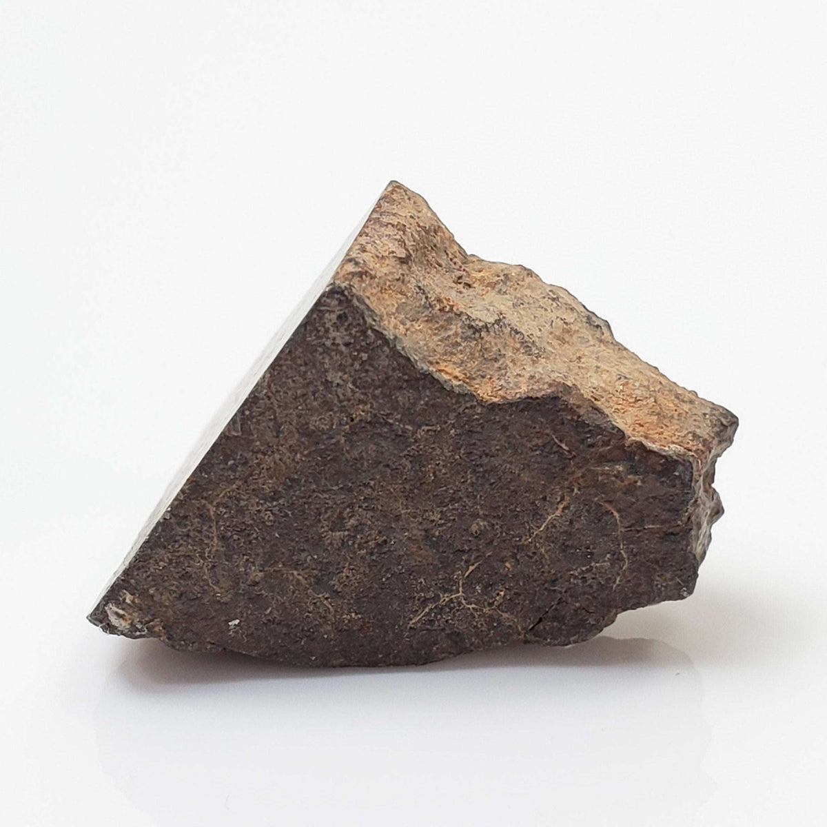   Northwest Africa NWA Meteorite | 9.2 Grams | End Cut | Sahara 