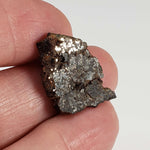   NWA 1879 Meteorite | 4.16 Gr | Part Slice | Found 2003 | Stony Iron Mesosiderite | Morocco 