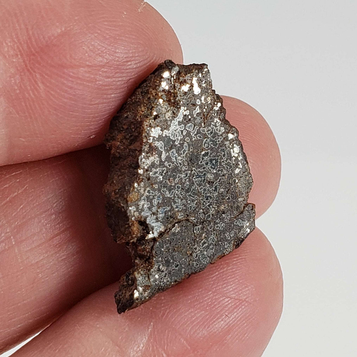   NWA 1879 Meteorite | 4.16 Gr | Part Slice | Found 2003 | Stony Iron Mesosiderite | Morocco 