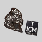   NWA 1879 Meteorite | 4.16 Gr | Part Slice | Found 2003 | Stony Iron Mesosiderite | Morocco 