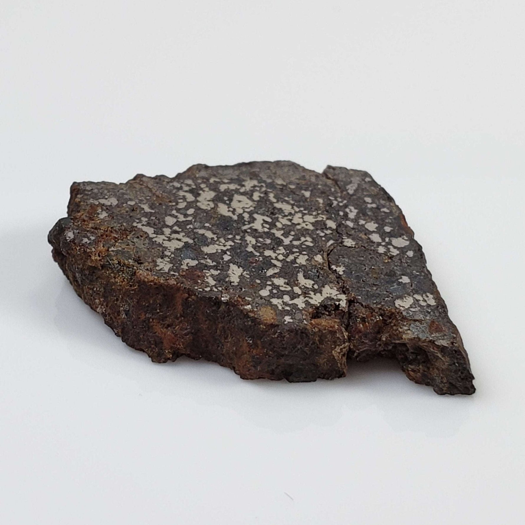   NWA 1879 Meteorite | 4.16 Gr | Part Slice | Found 2003 | Stony Iron Mesosiderite | Morocco 