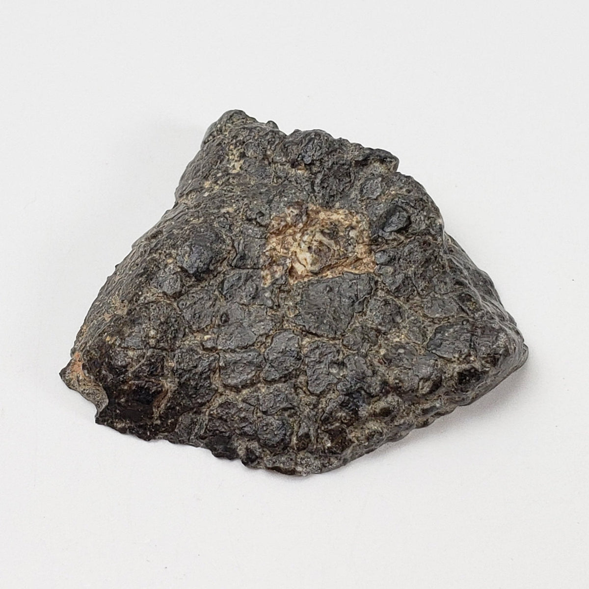   NWA 2949 Meteorite | 10.8 Gr | Rare Crusted Eucrite End Cut | Low TKW | Erfoud, Morocco 