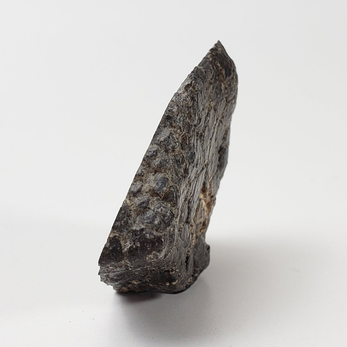   NWA 2949 Meteorite | 10.8 Gr | Rare Crusted Eucrite End Cut | Low TKW | Erfoud, Morocco 