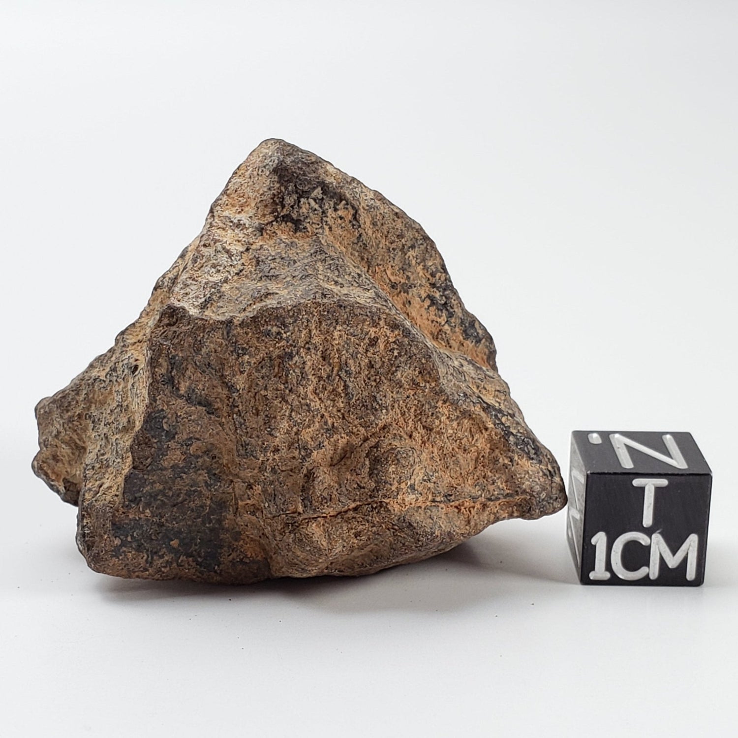 NWA 2965 Meteorite | 45.89 Grams | Individual | EL - Melt Rock | Fossil Paleomet 1