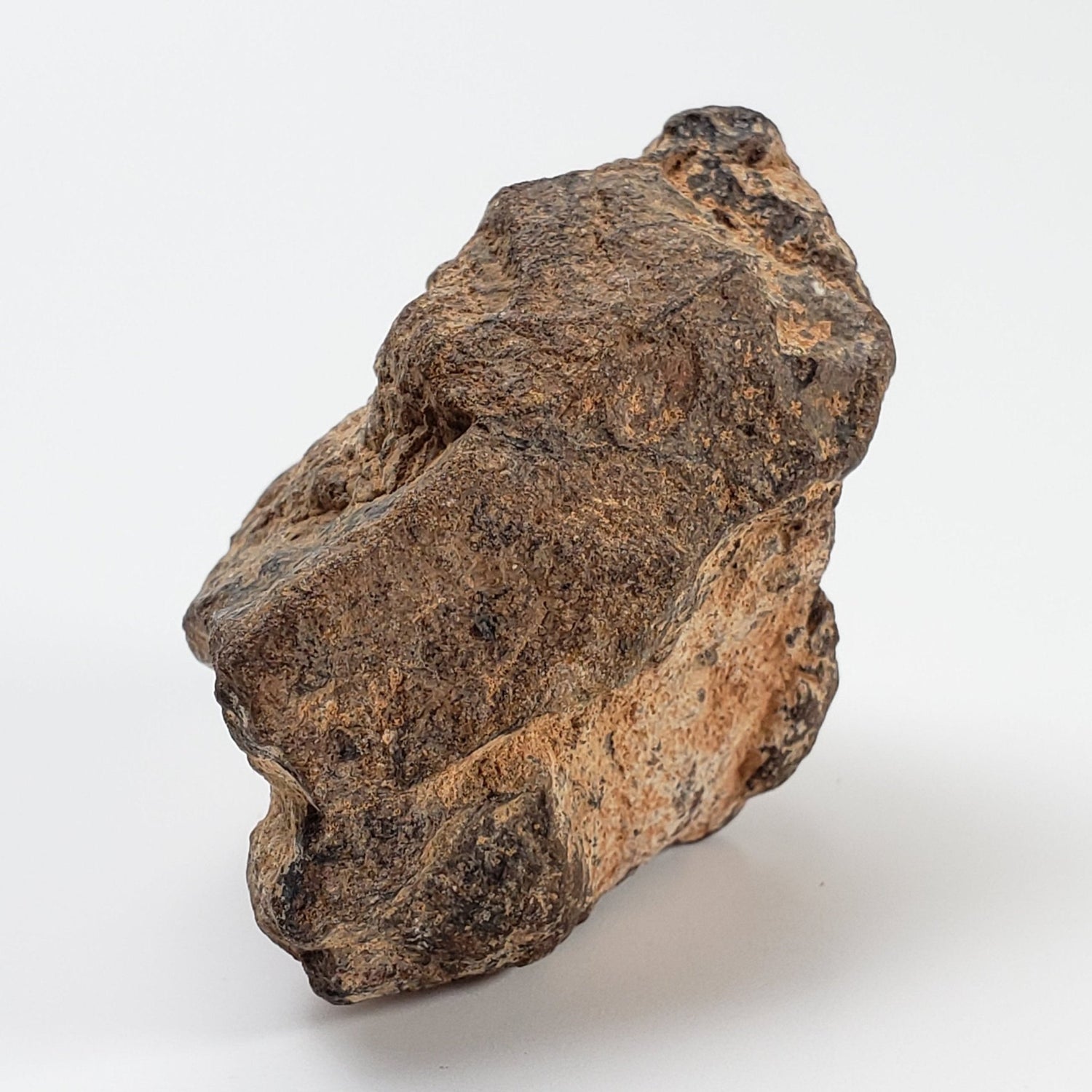 NWA 2965 Meteorite | 45.89 Grams | Individual | EL - Melt Rock | Fossil Paleomet 2