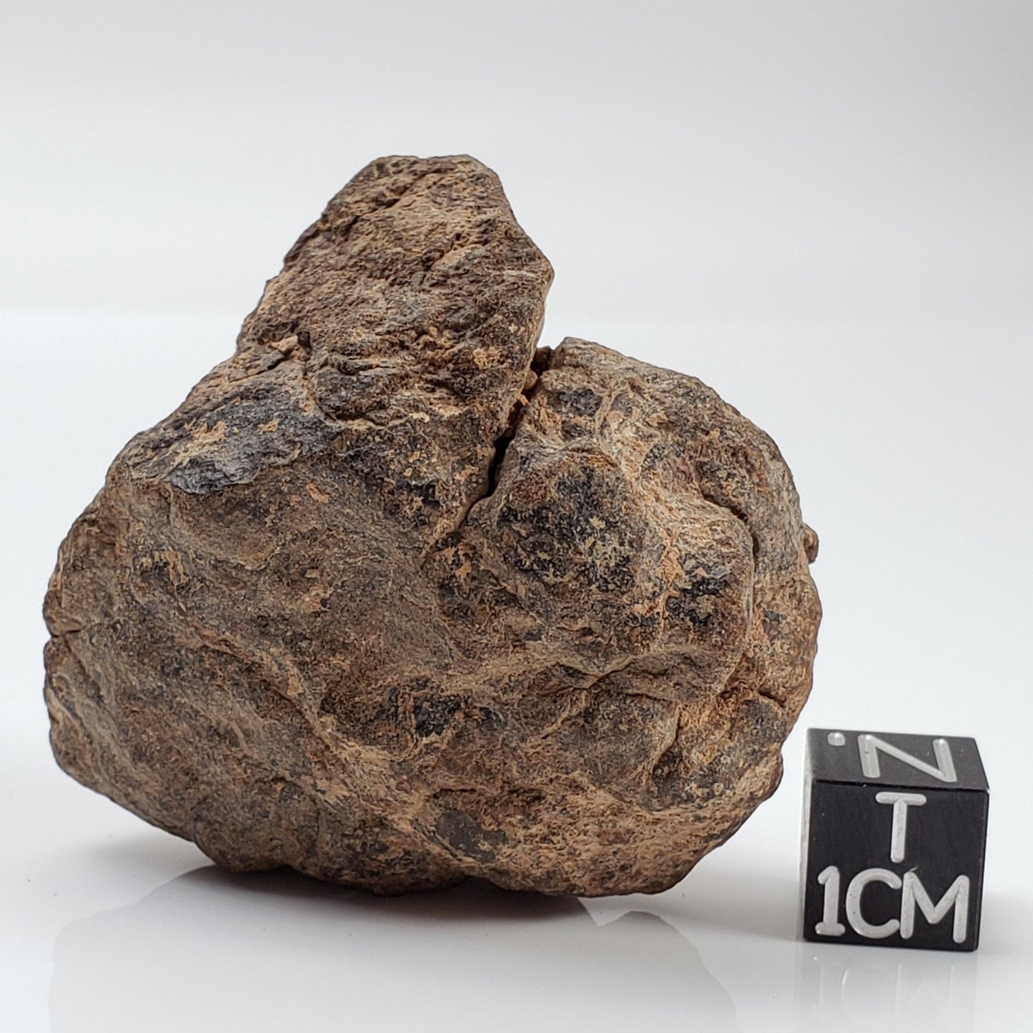 NWA 2965 Meteorite | 63.49 Grams | Individual | EL - Melt Rock | Fossil Paleomet 1