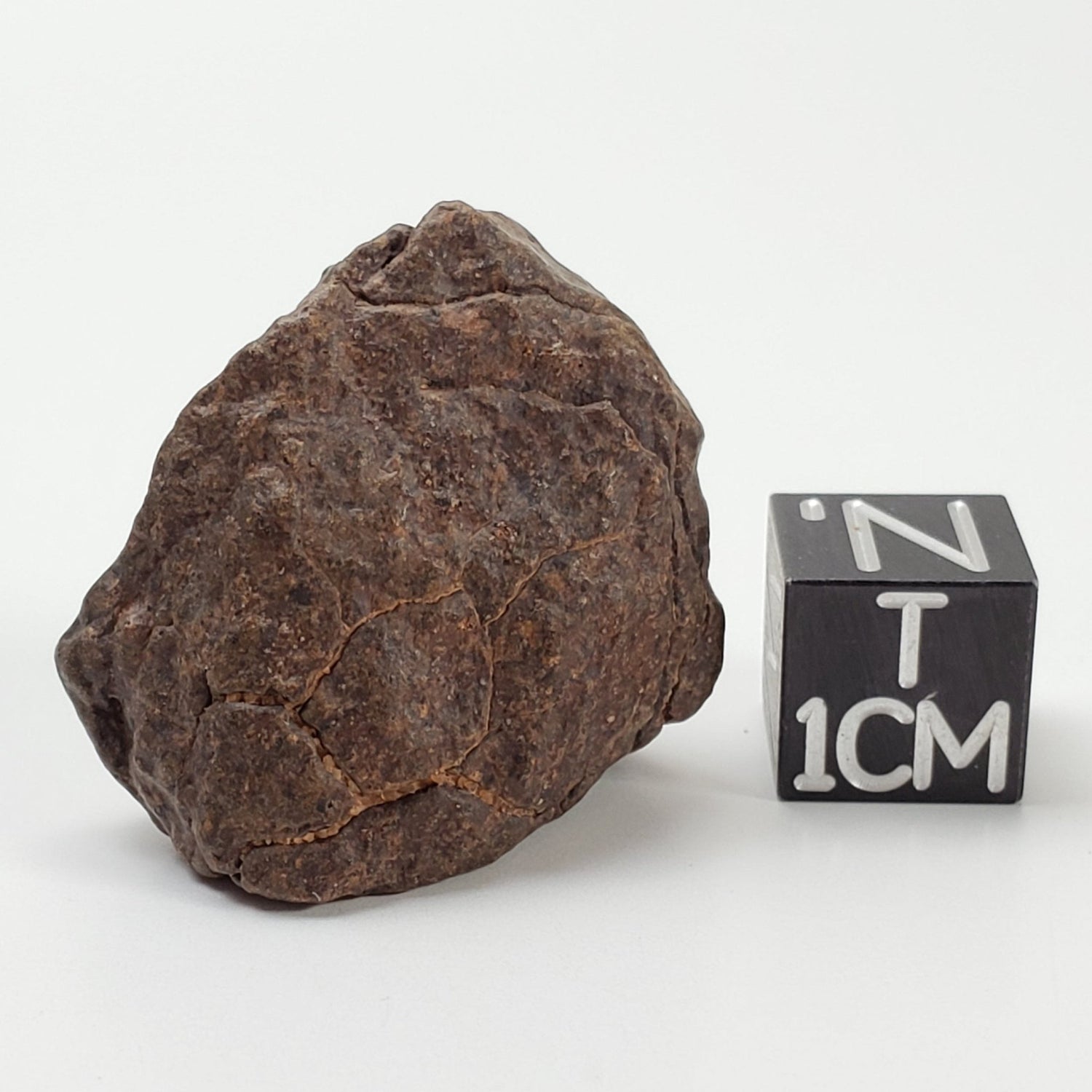 NWA 4293 Meteorite | 13.29 Grams | Individual | H6 Chondrite 1