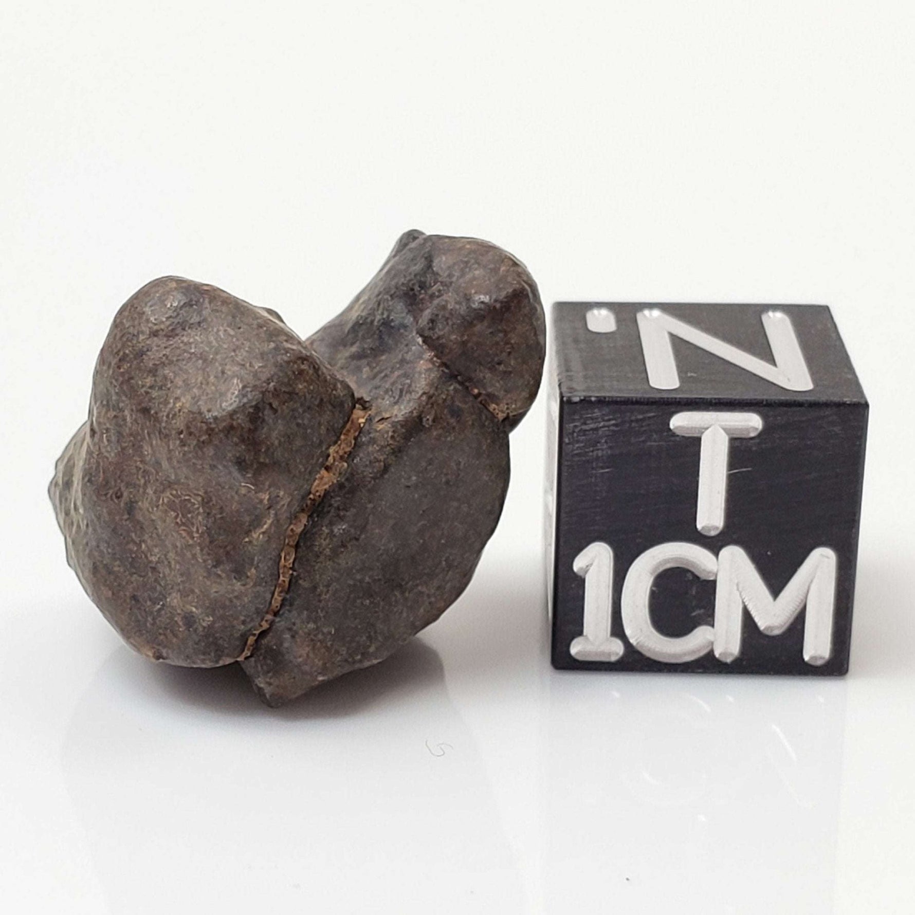   NWA 4293 Meteorite | 5 Grams | Individual | H6 Chondrite 