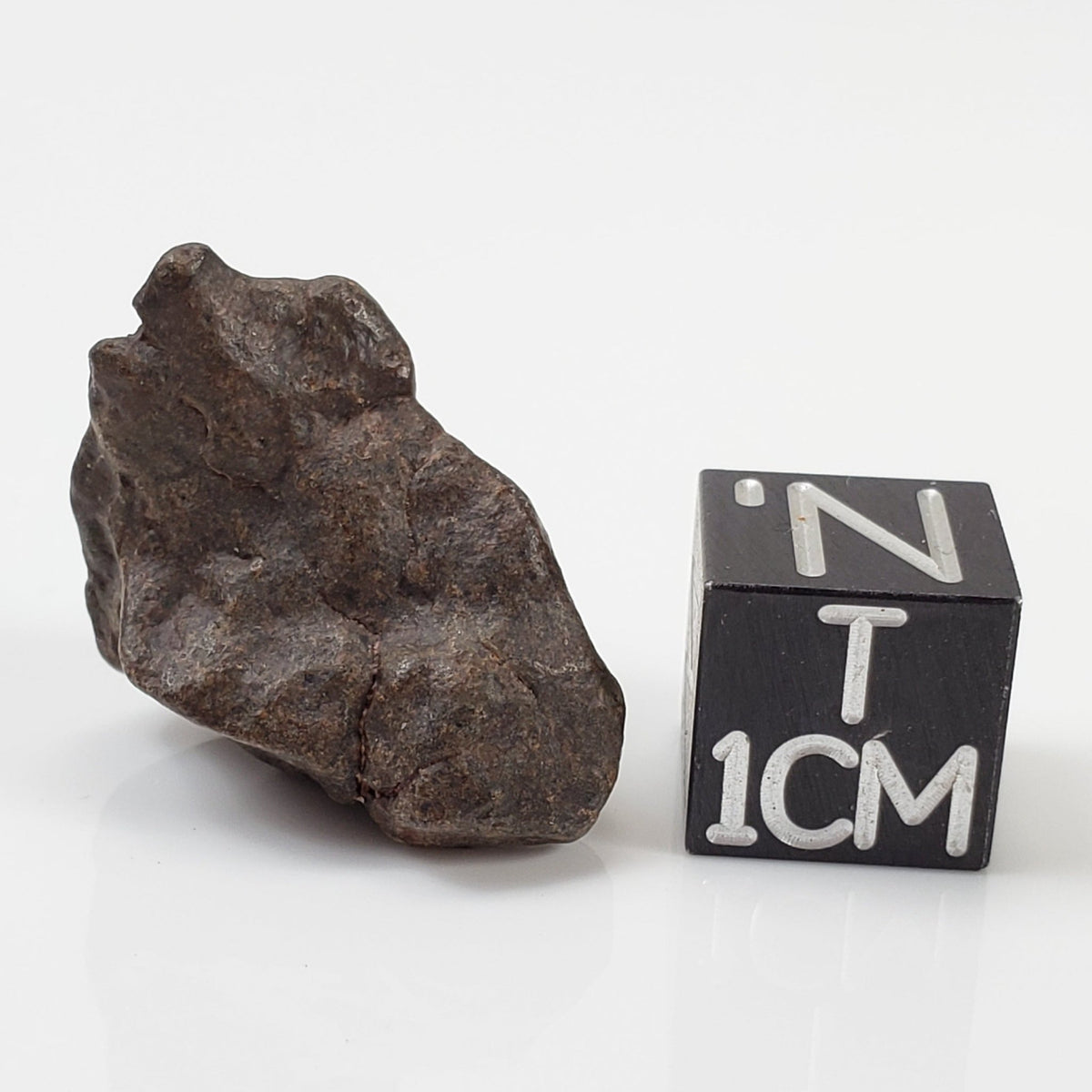   NWA 4293 Meteorite | 5.1 Grams | Individual | H6 Chondrite 