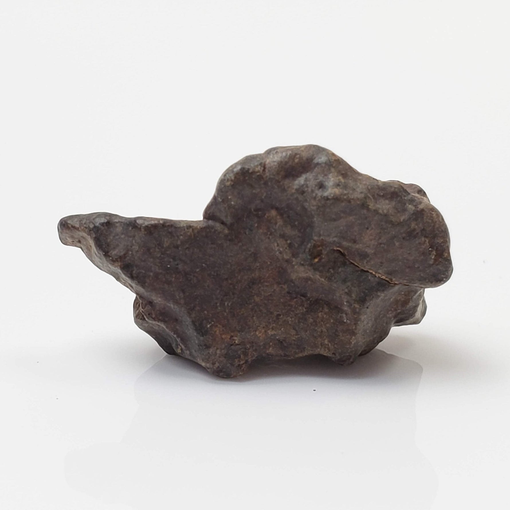   NWA 4293 Meteorite | 5.2 Grams | Individual | H6 Chondrite 