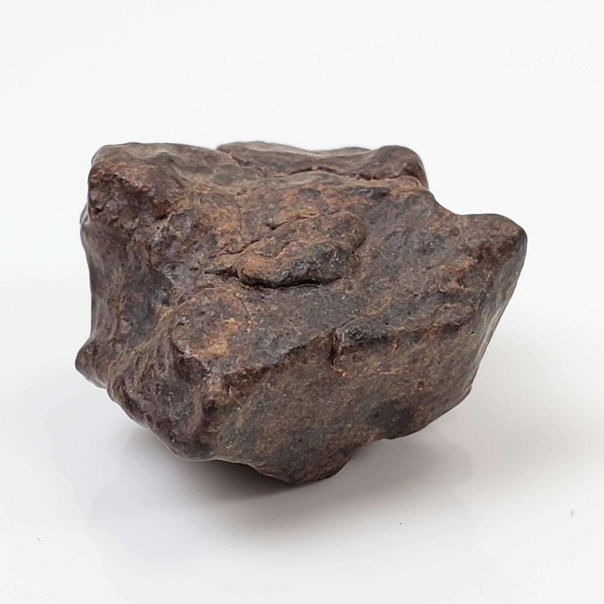 NWA 4293 Meteorite | 8.8 Grams | Individual | H6 Chondrite