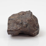 NWA 4293 Meteorite | 8.8 Grams | Individual | H6 Chondrite 4