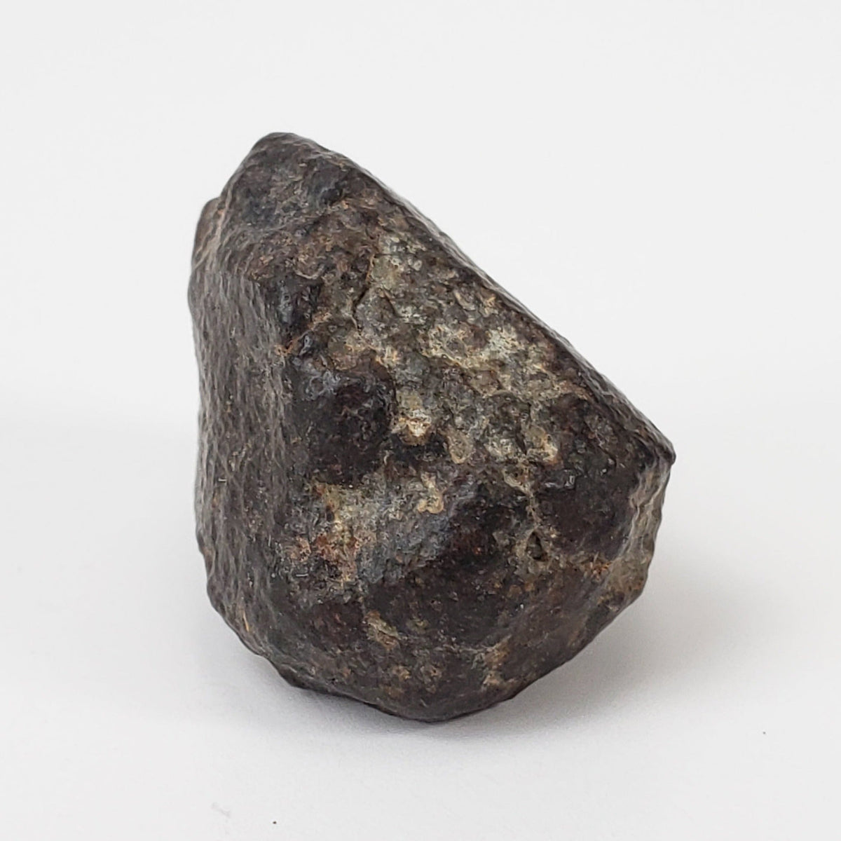 NWA 869 Meteorite | 10 Grams | Individual | L3-6 Chondrite | Crusted Specimen