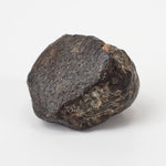 NWA 869 Meteorite | 10 Grams | Individual | L3-6 Chondrite | Crusted Specimen
