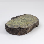   Olivine Volcanic Bomb Slice | Lava Coated Crystal | 69.5 gr | Mt Shadwell Volcano, Australia 