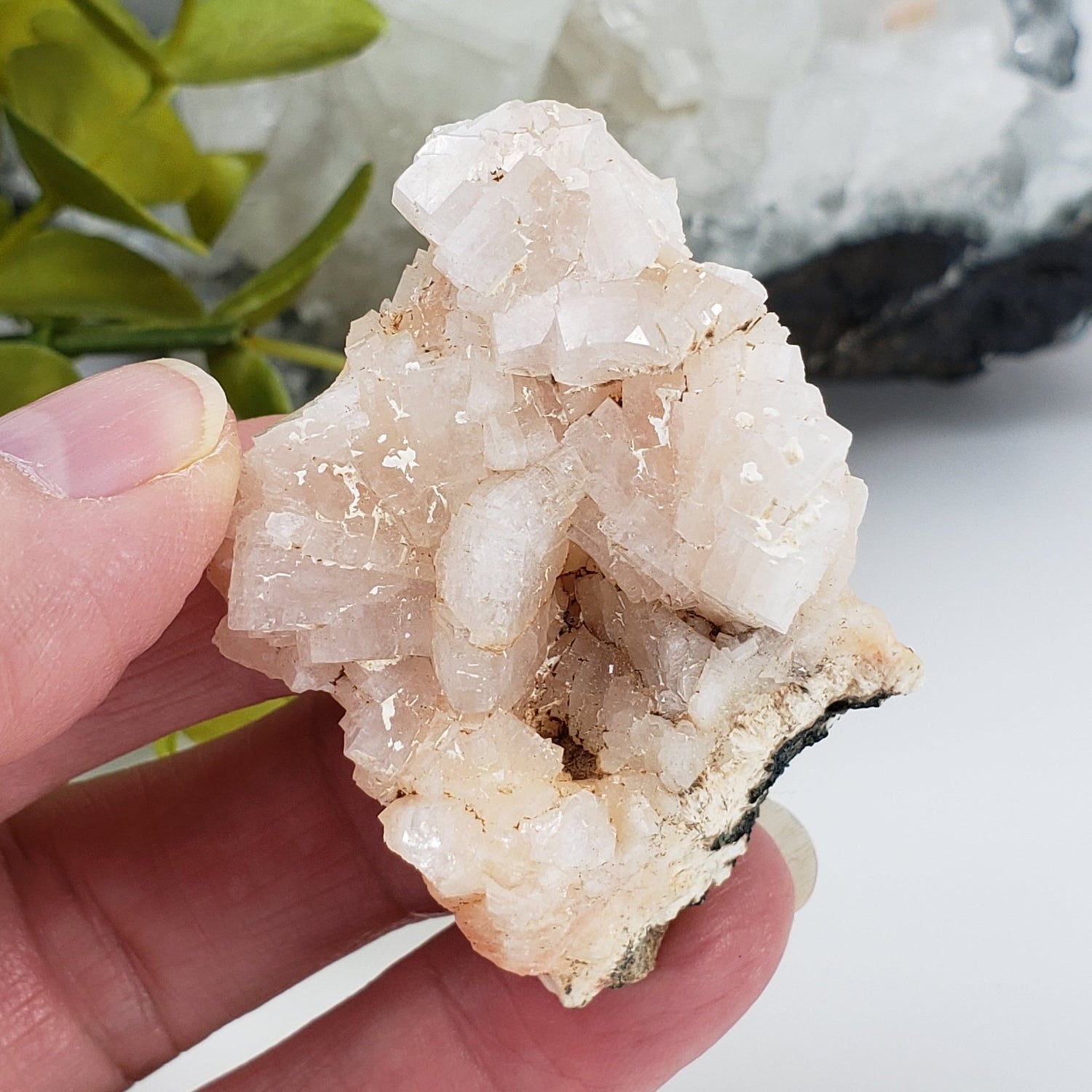 Pink Stilbite Crystal | 43.58 gr | Cape D'Or, Nova Scotia