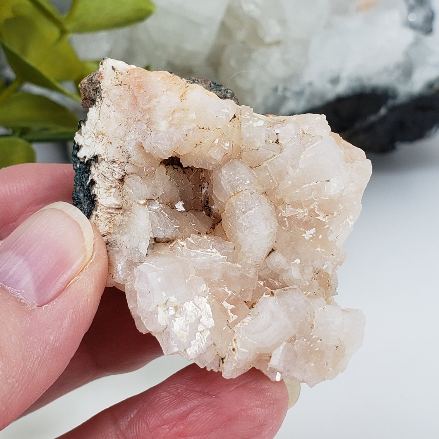 Pink Stilbite Crystal | 43.58 gr | Cape D'Or, Nova Scotia