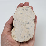   Polymict Impact Breccia | 156 Grams | Azuara Impact Structure, Spain 