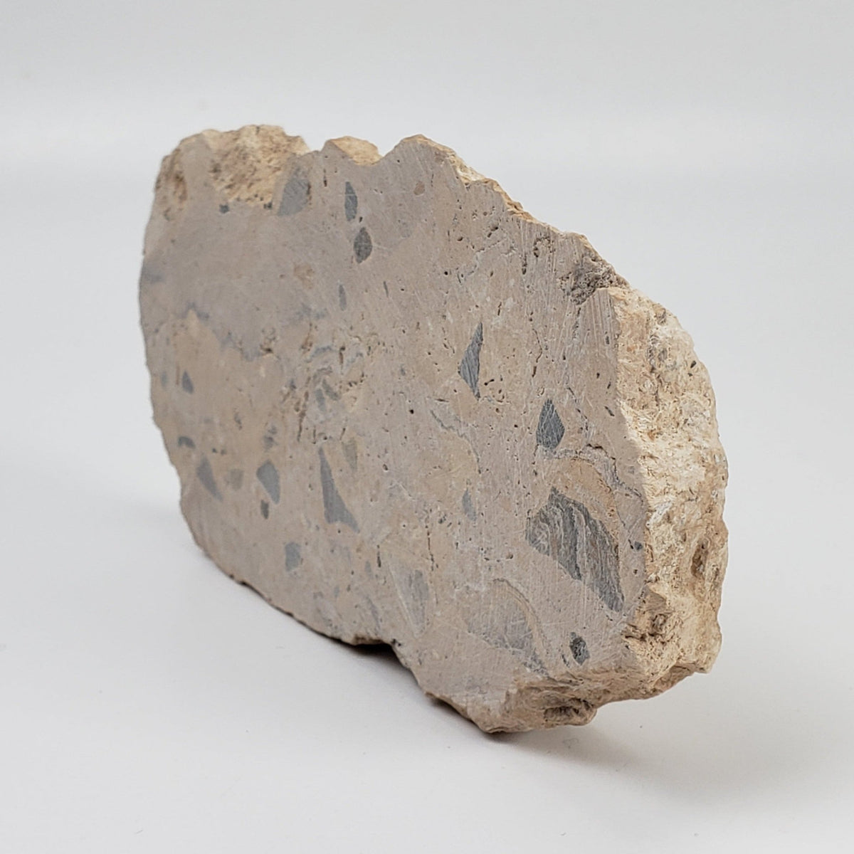   Polymict Impact Breccia | 156 Grams | Azuara Impact Structure, Spain 