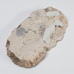   Polymict Impact Breccia | 156 Grams | Azuara Impact Structure, Spain 