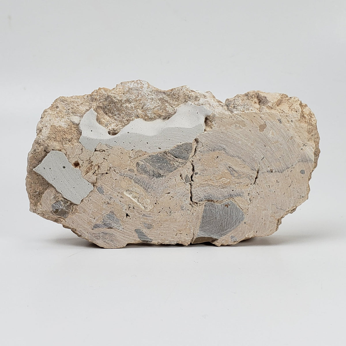   Polymict Impact Breccia | 156 Grams | Azuara Impact Structure, Spain 