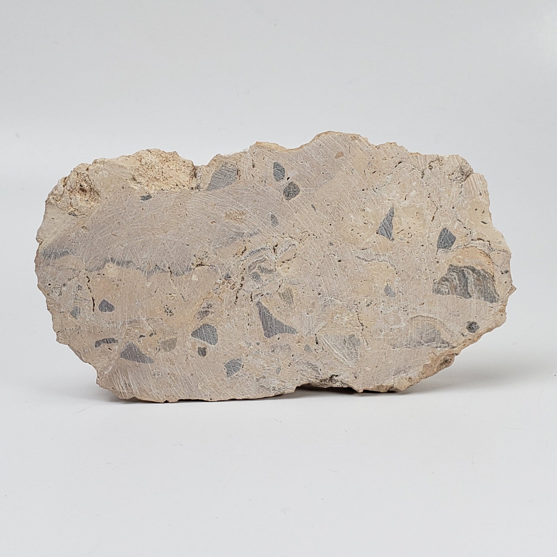   Polymict Impact Breccia | 156 Grams | Azuara Impact Structure, Spain 