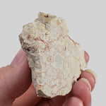   Polymict Impact Breccia | 53 Grams | Azuara Impact Structure, Spain 