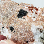 Rhodochrosite, Leifite and Elpidite on Albite Crystal | 41.5 grams | Mont Saint-Hilaire, Quebec