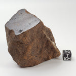  Northwest Africa NWA Meteorite 298.5 Grams Individual Cut Fragment Sahara 