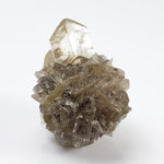 Gypsum var "Duckbill" Selenite Crystal | Fluorescent | 55.3 gr | Red River Floodway | Winnipeg, Manitoba Canada (Copy)