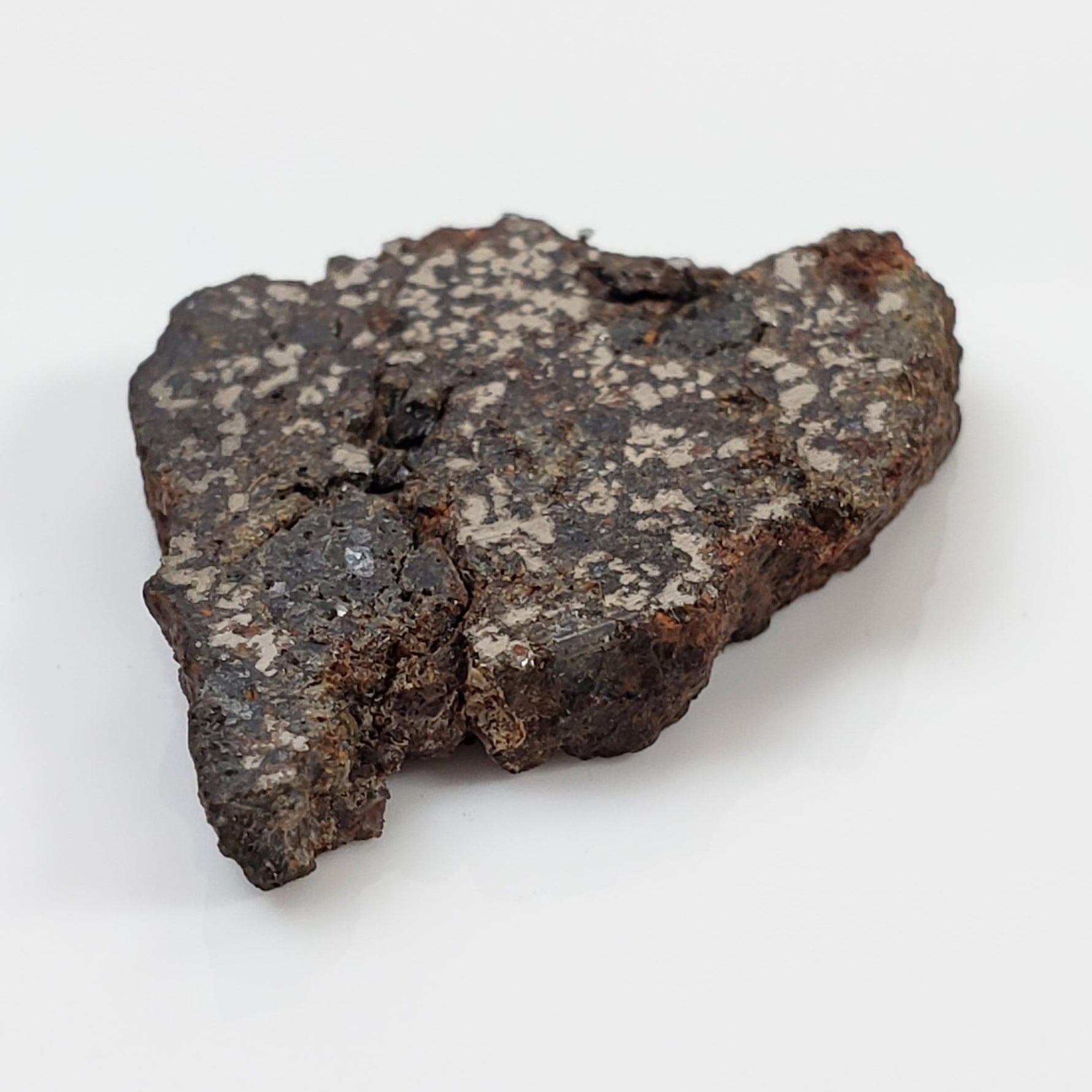  NWA 1879 Meteorite | 4.16 Gr | Part Slice | Found 2003 | Stony Iron Mesosiderite | Morocco 