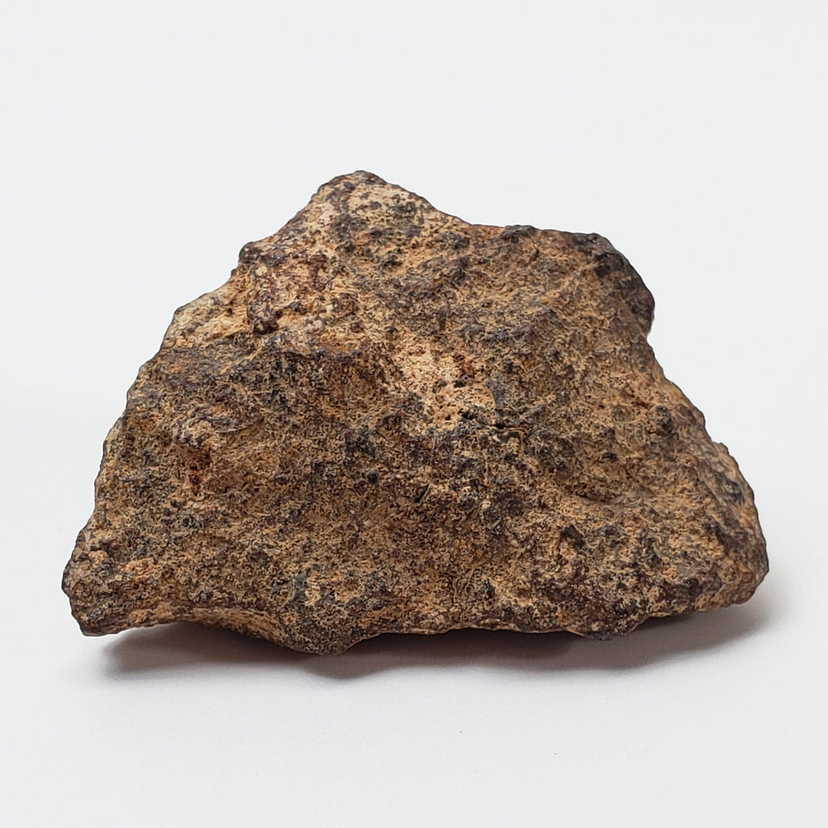  NWA 267 Meteorite 10.8 Gram| H4 Chondrite Used in Legal Tender Coin 