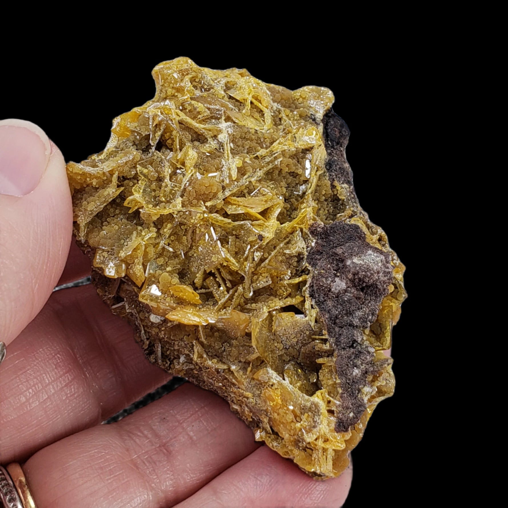  Wulfenite Crystal Cluster | 114 Grams | Old Yuma Mine | Arizona USA 