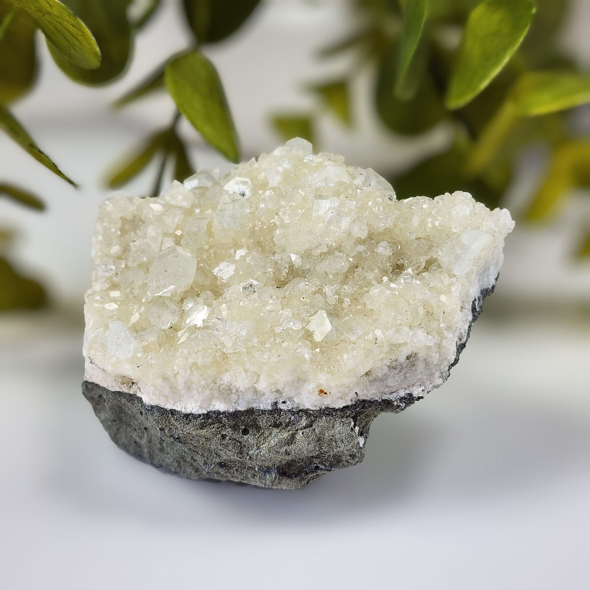 Apophyllite Cluster Crystal | 137 grams | Mumbai, India