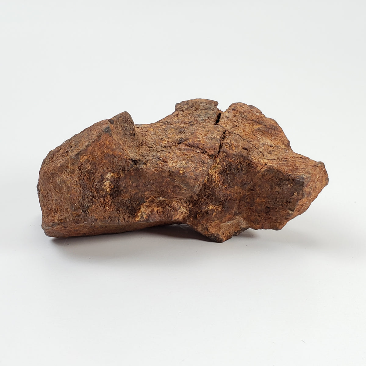 Northwest Africa NWA Meteorite | 86.5 Grams | Individual Fragment | Sahara