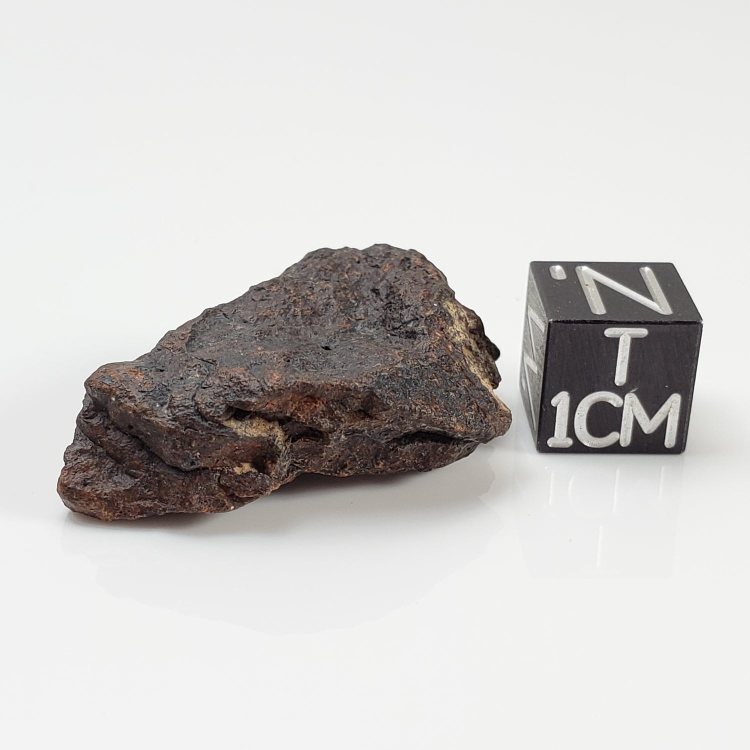 Dhofar 221 Meteorite | 8.58 Grams | Individual | L5 Shocked Chondrite | Sahara